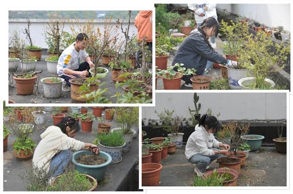 说明: 图片3  志愿者小伙伴正在除草_副本