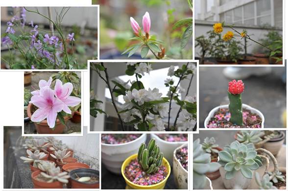 说明: DSC_5970_副本