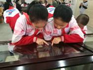 IMG_20171031_105217